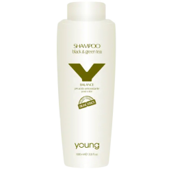 Young Shampoo Black & Green Tea_Кислотний шампунь Post Color 1000 мл